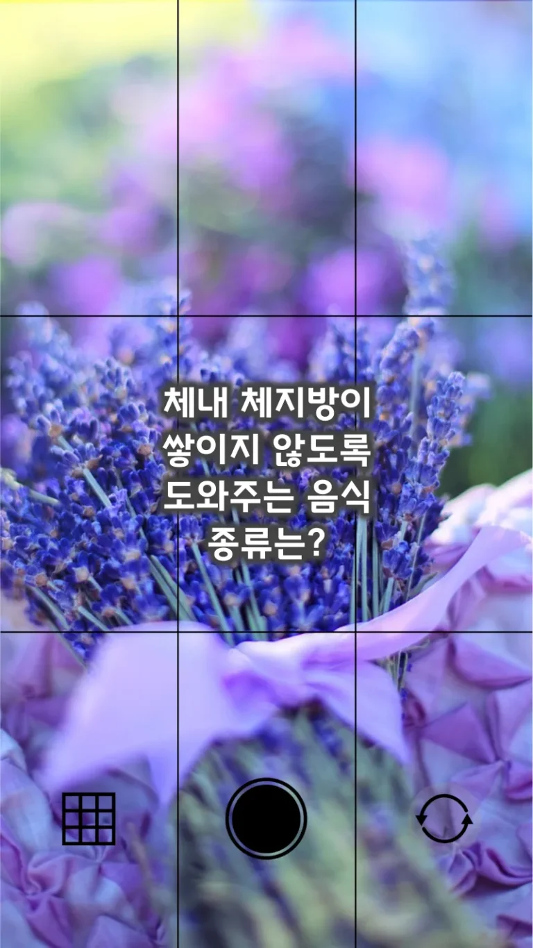 체내 체지방이 쌓이지 않도록 도와주는 음식 종류는?