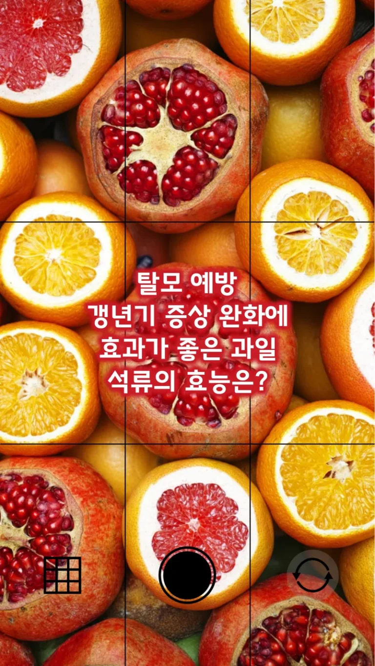 탈모 예방 갱년기 증상 완화에 효과가 좋은 과일 석류의 효능은?