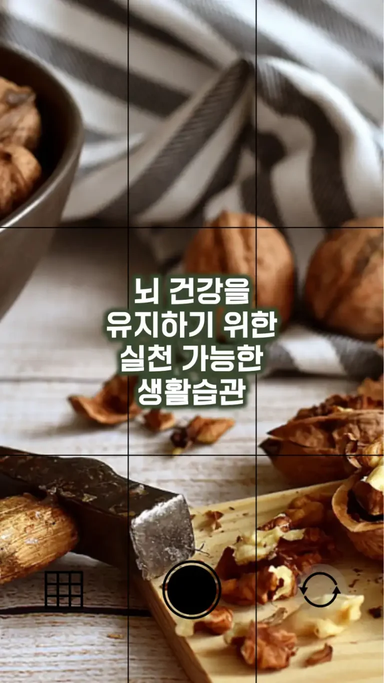 뇌 건강을 유지하기 위한 실천 가능한 생활습관