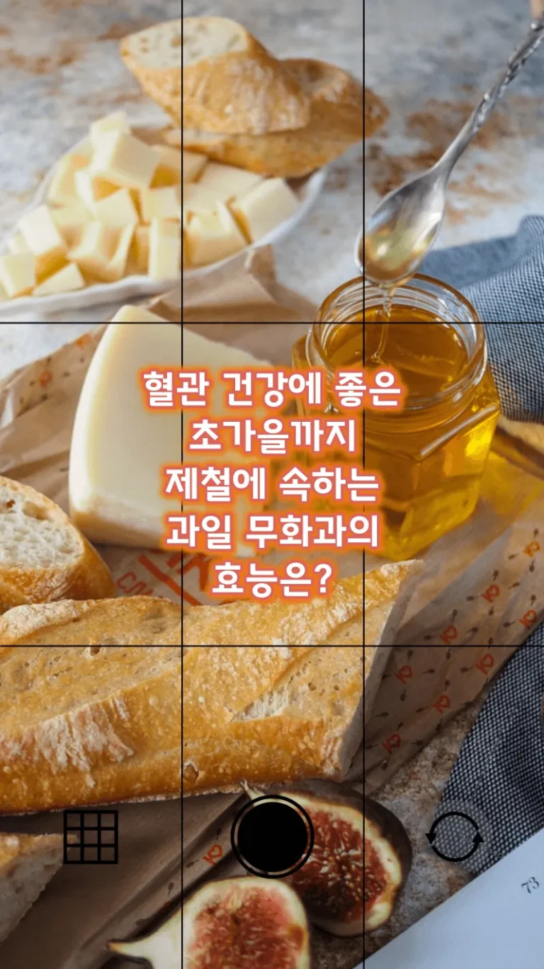 혈관 건강에 좋은 초가을까지 제철에 속하는 과일 무화과의 효능은?