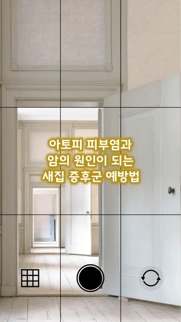 아토피 피부염과 암의 원인이 되는 새집 증후군 예방법