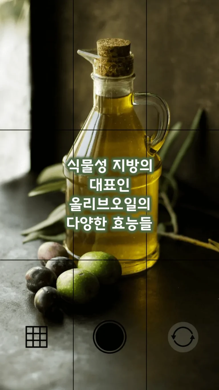 식물성 지방의 대표인 올리브오일의 다양한 효능들