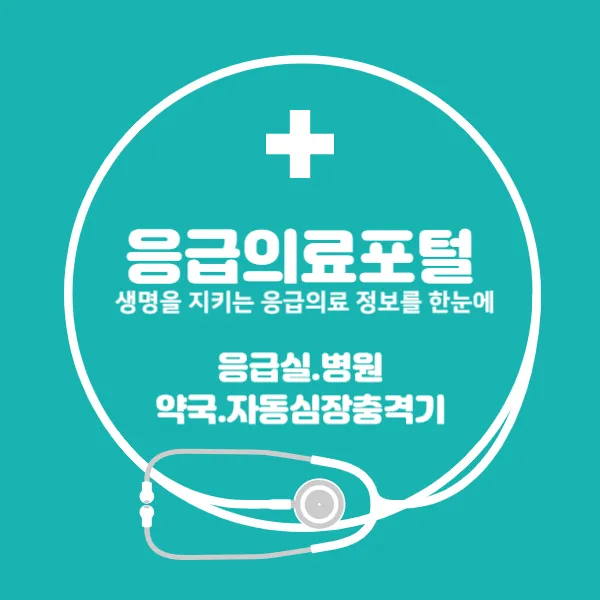 응급의료포털, 생명을 지키는 응급의료 정보를 한눈에