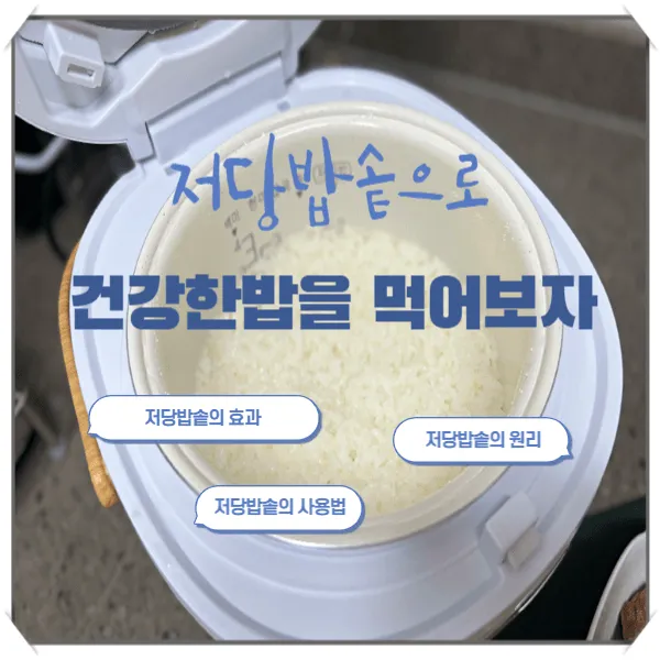저당밥솥으로 건강한 밥을 먹어보자! 저당밥솥의 효과, 원리, 사용법