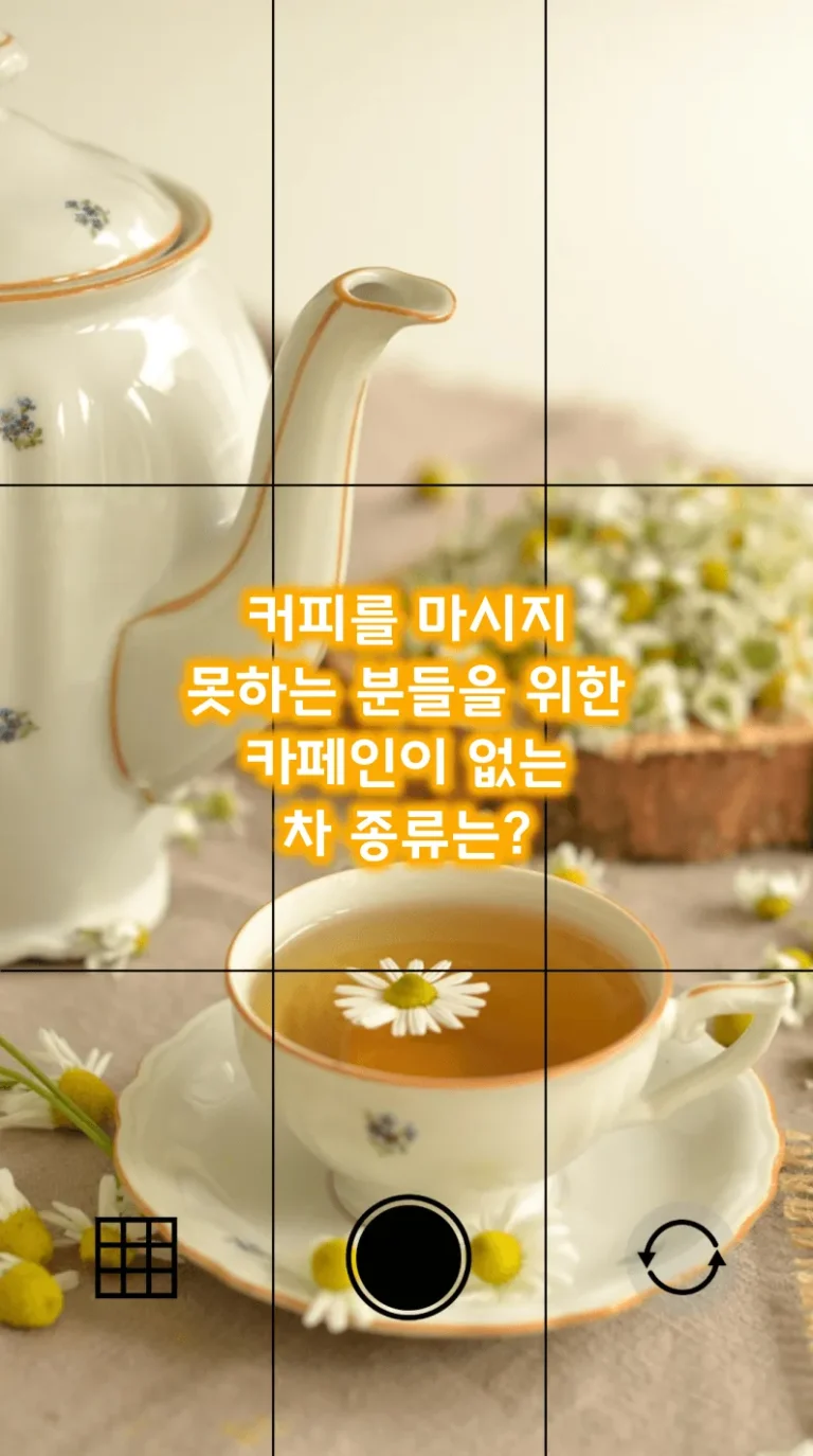 커피를 마시지 못하는 분들을 위한 카페인이 없는 차 종류는?