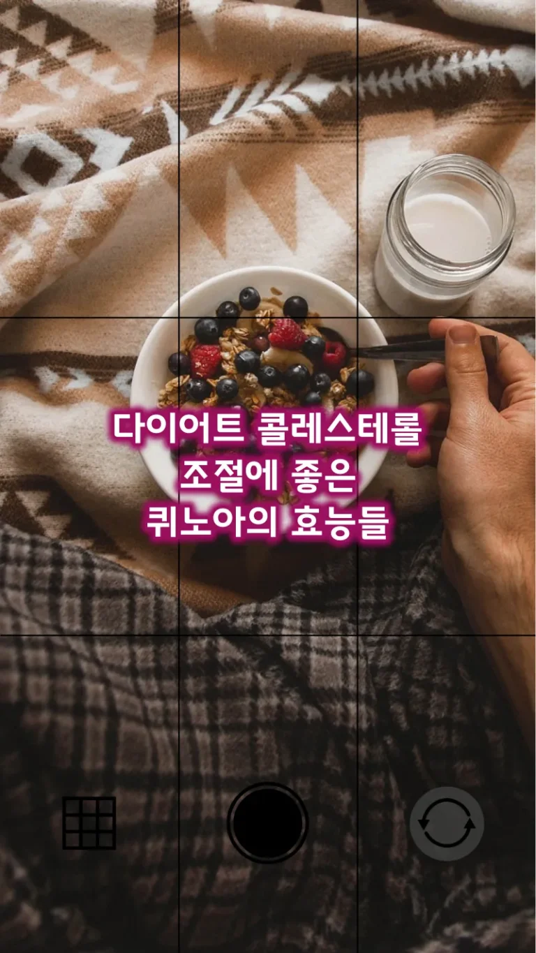 다이어트 콜레스테롤 조절에 좋은 퀴노아의 효능들