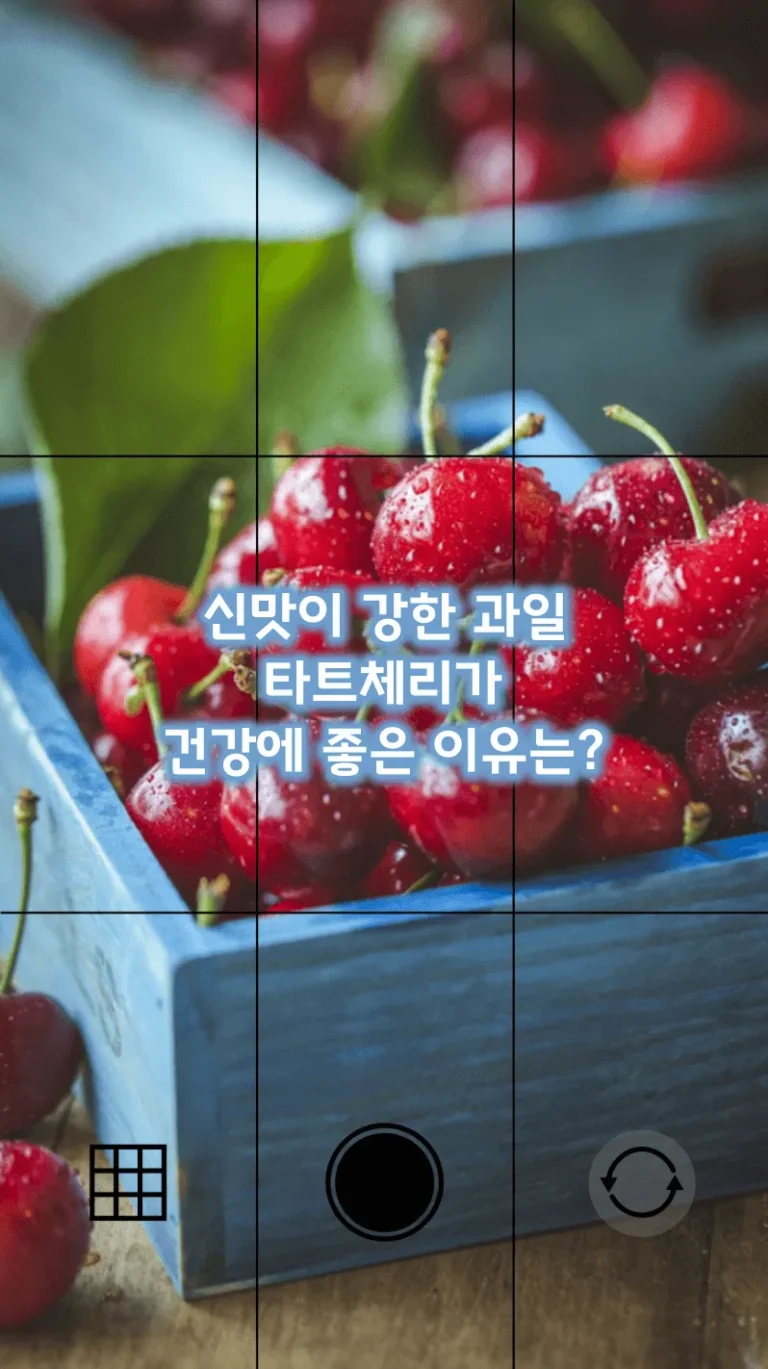 신맛이 강한 과일 타트체리가 건강에 좋은 이유는?