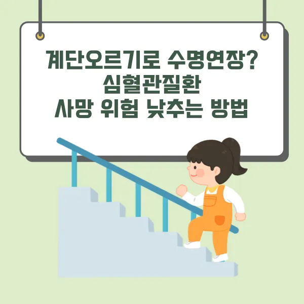 계단오르기로 수명연장? 심혈관질환 사망 위험 낮추는 방법