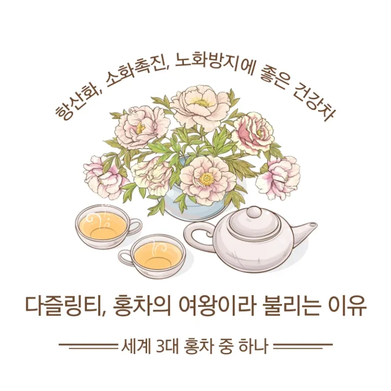 다즐링티, 홍차의 여왕이라 불리는 이유