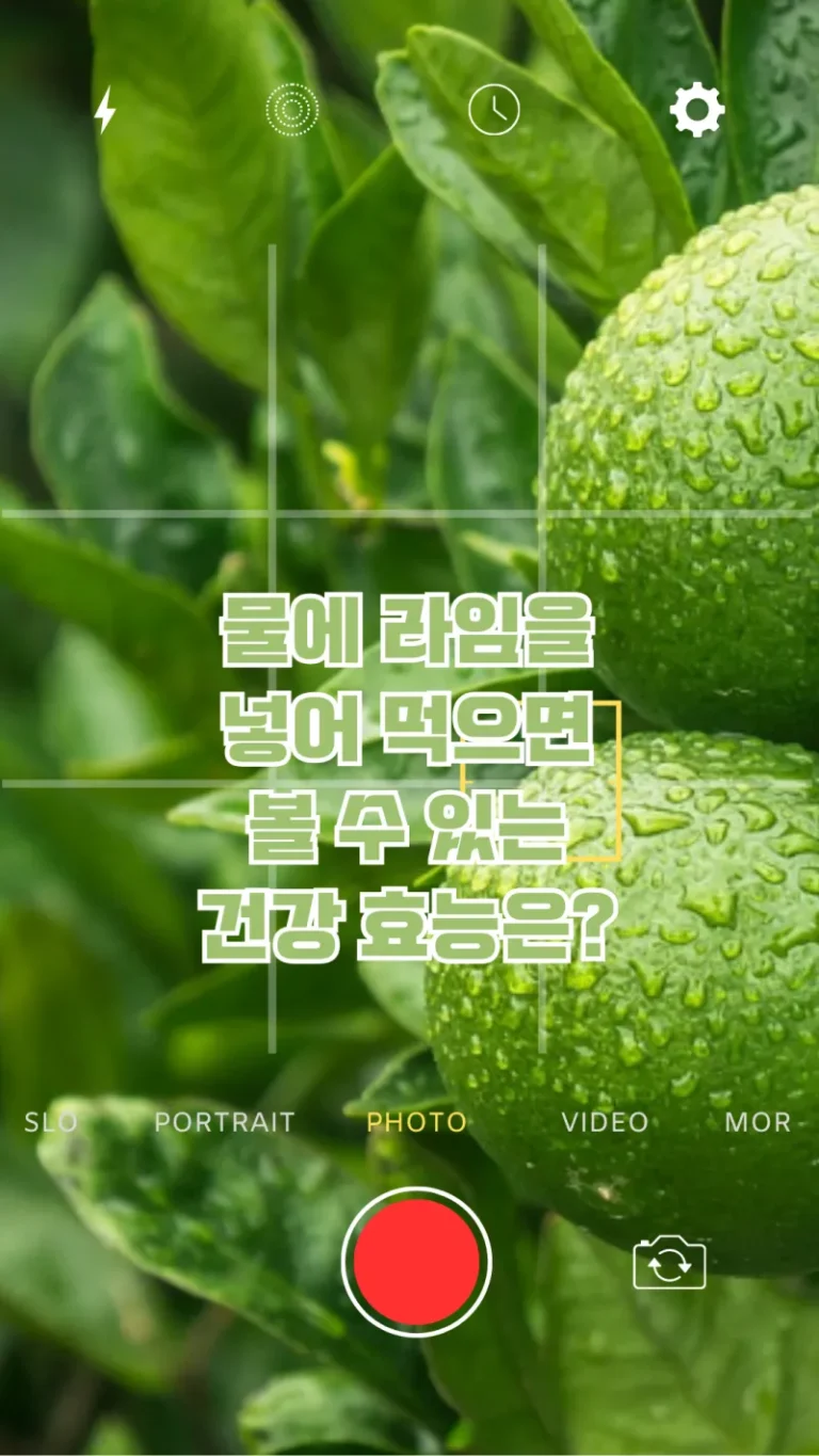 물에 라임을 넣어 먹으면 볼 수 있는 건강 효능은?