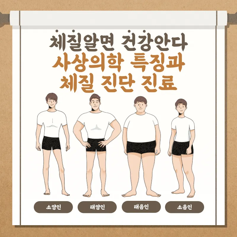 사상의학, 태양인, 소양인, 소음인 특징과 체질 진단 살펴보기 사상의학, 태양인, 소양인, 소음인 특징과 체질 진단 살펴보기