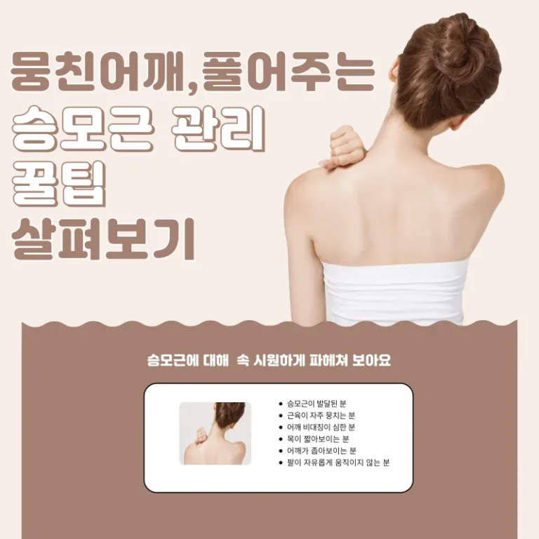 뭉친 어깨, 풀어주는 승모근 관리 꿀팁 살펴보기