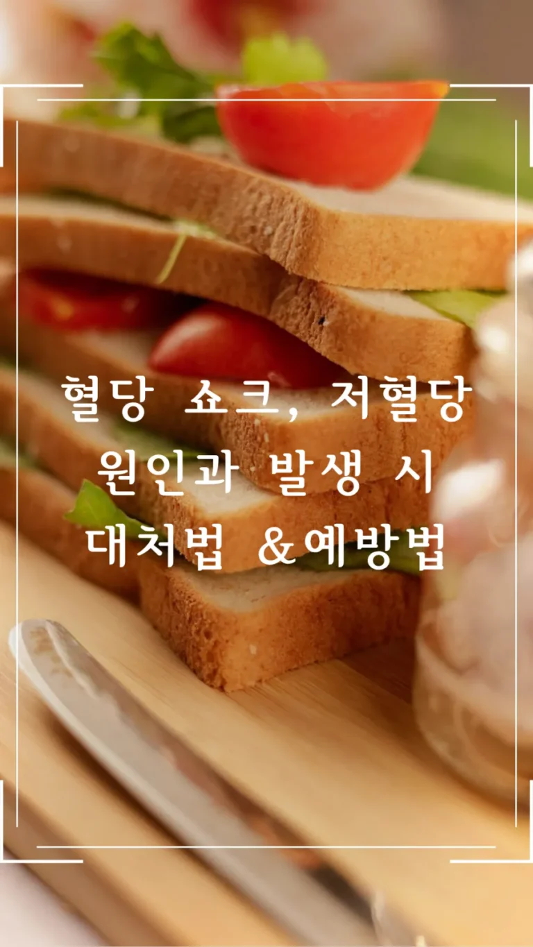 혈당 쇼크 저혈당 원인과 발생 시 대처법과 예방법